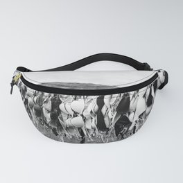 Free the Tata's of the world - bras on a clothsline - go topless black and white photograph - photography - photographs Fanny Pack
