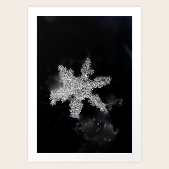 Winter Joy II Art Print