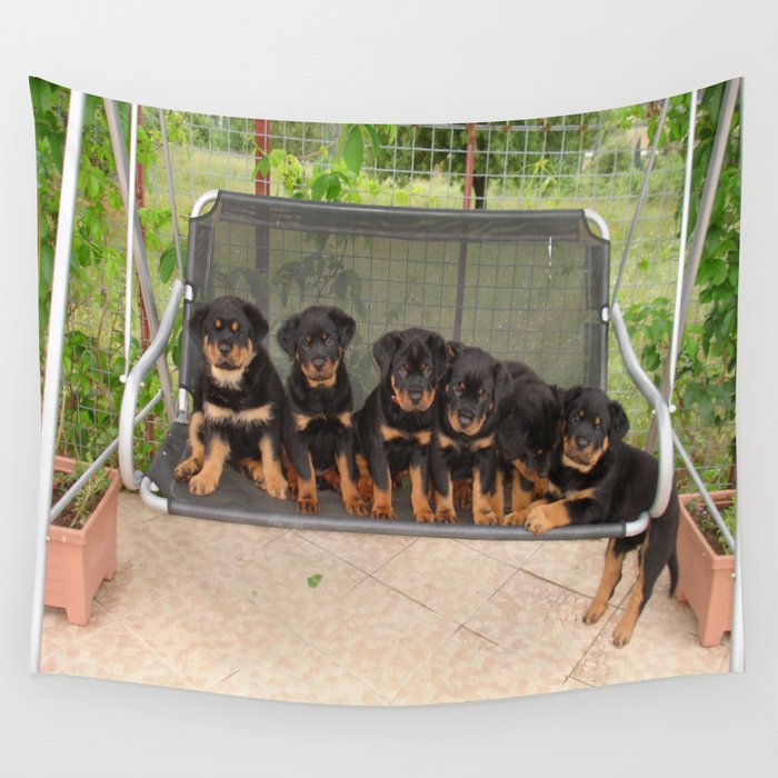 Six Rottweiler Puppies Lined Up On A Swing Wall Tapestry