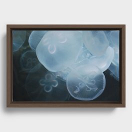 Underwater Glow Framed Canvas