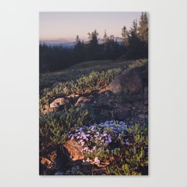 Wildflowers at Dawn - Nature Photography Canvas Print