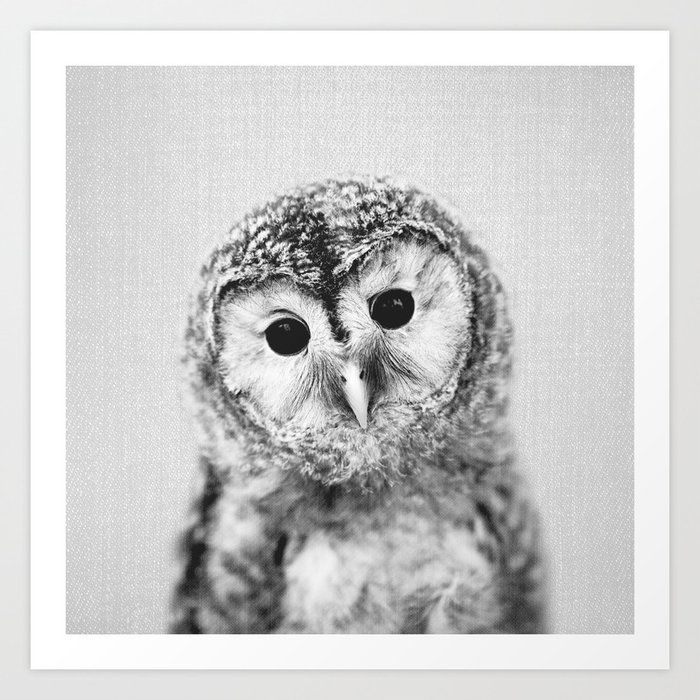 Baby Owl - Black & White Art Print