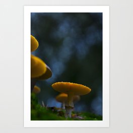 Magical mushroom | Autumn | Fine art photography print of a fly agaric Art Print