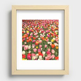 Tulip Festival Recessed Framed Print