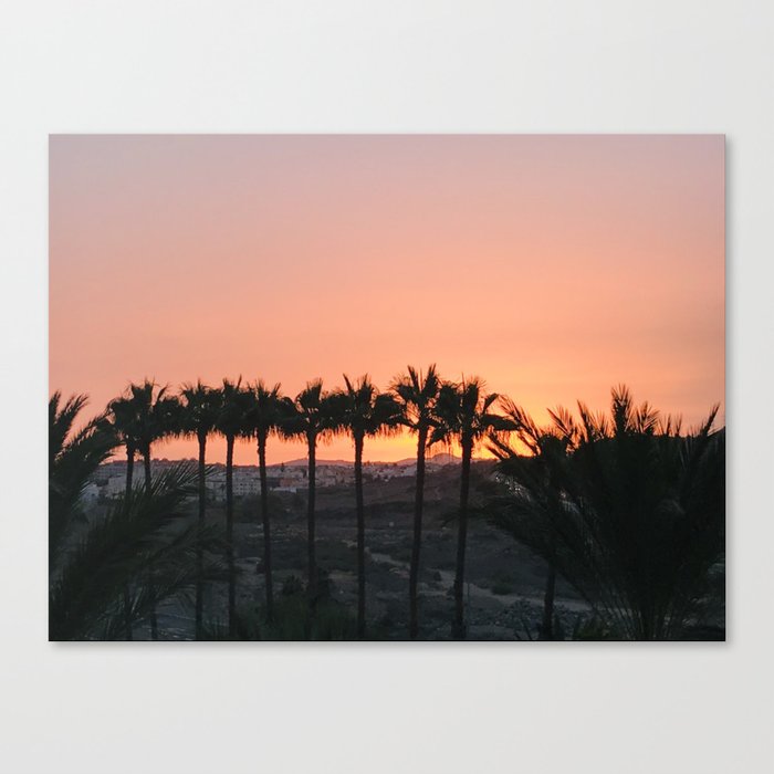 Palmtree sunset Canvas Print