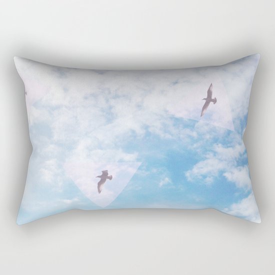 Flight Path Rectangular Pillow