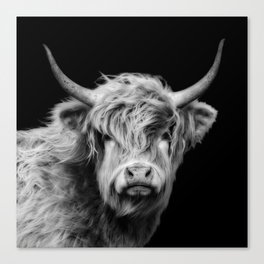 Highland Cow Black And White Canvas Print