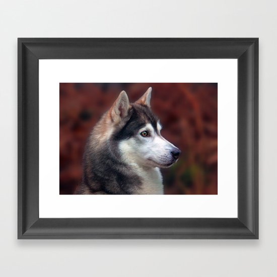 brown eyes Framed Art Print