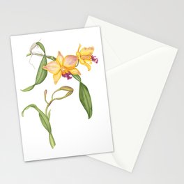 Flowering yellow cattleya orchid plant Stationery Card