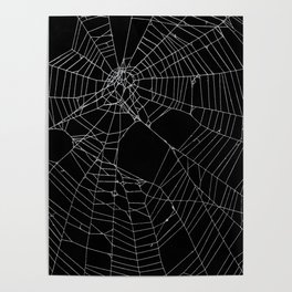 SpiderWeb Web Poster