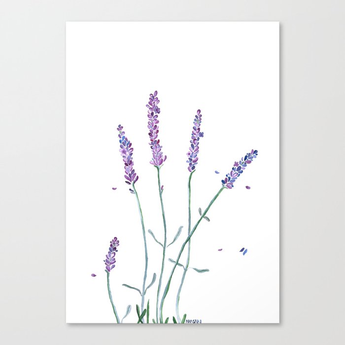 Watercolor Lavender Canvas Print