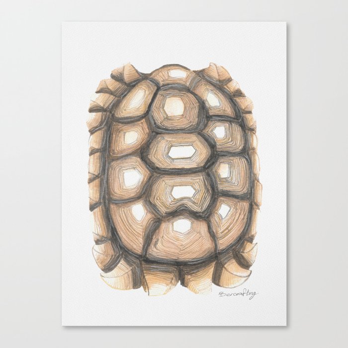 Yellow and Brown Tortoise Shell Canvas Print