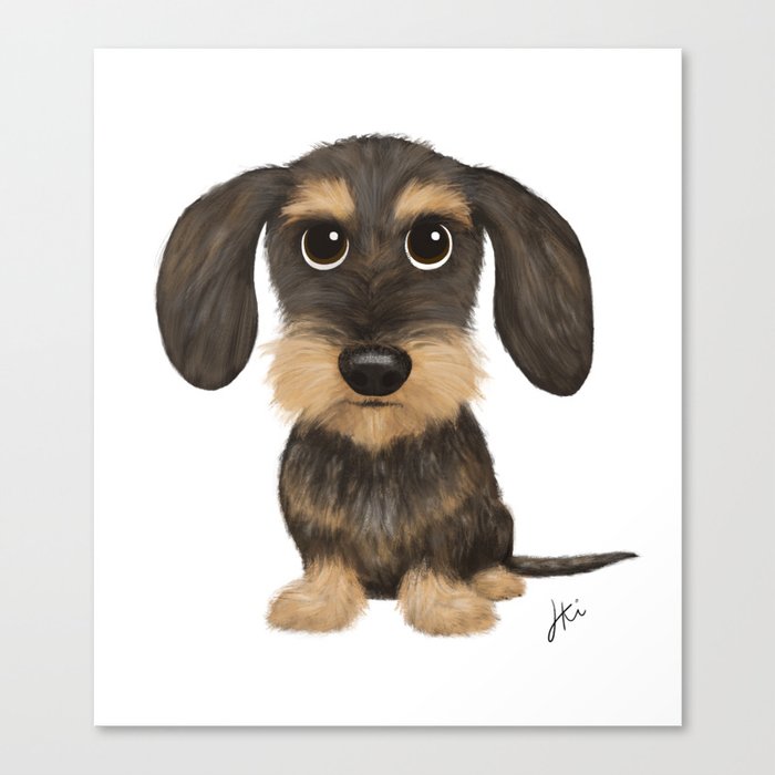 Wirehaired Dachshund Cute Wire Haired Wiener Dog Wild Boar and Tan Teckel Canvas Print