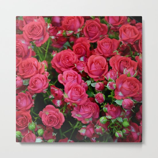 Bright red roses Metal Print