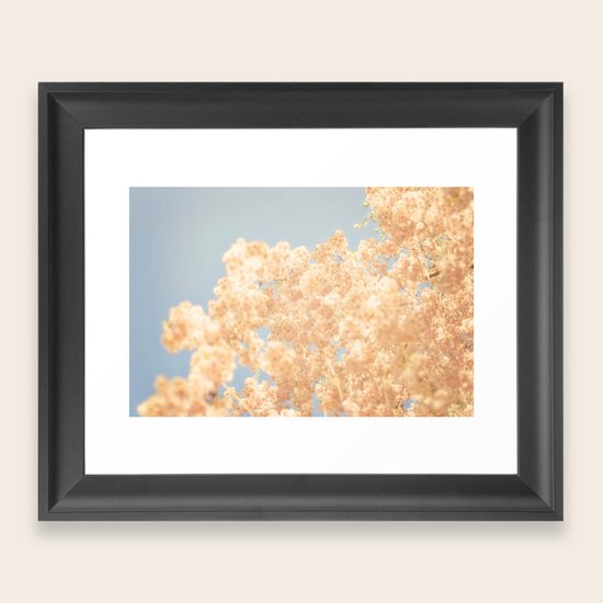 Cotton Candy Framed Art Print
