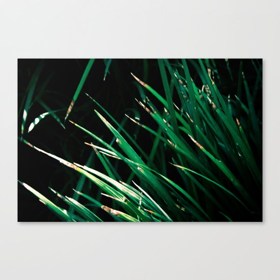 Blades Canvas Print