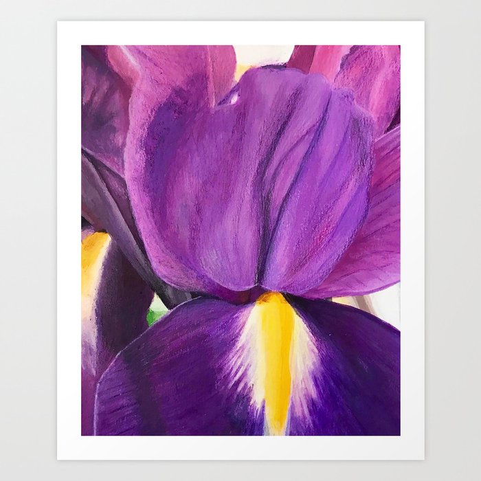 Iris I Art Print