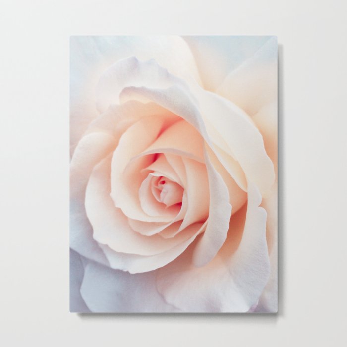 Rose | Flowers Photography | Spring | Blush Pink | Love Metal Print