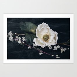 Magnolia Blossom Art Print
