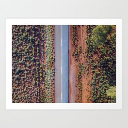 Australian Outback Roads  Art Print