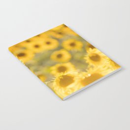 field of sunflowers3854714 Notebook
