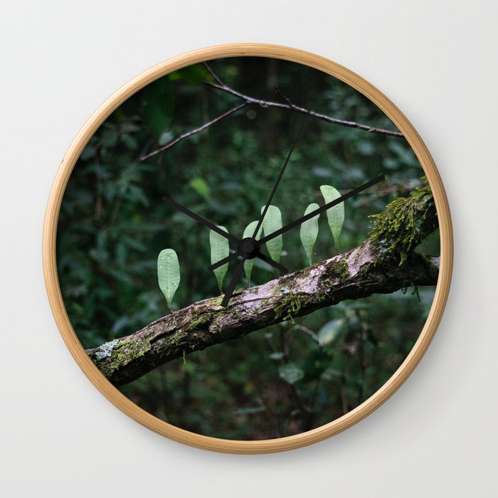 Beautiful branch in the jungle with leaves and lichens Wall Clock