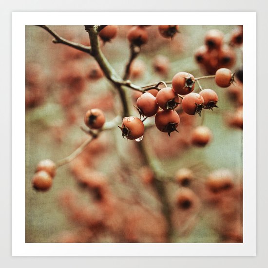 crabapples Art Print