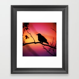 Perched In The Sunset  Framed Art Print