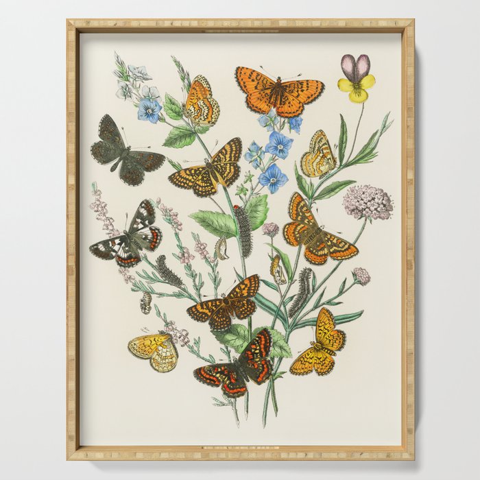 Butterflies and Flowers Vintage Illustration 1 Serving Tray