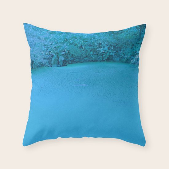 xuxu walk Throw Pillow