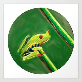 Frog on a Branch Art Print