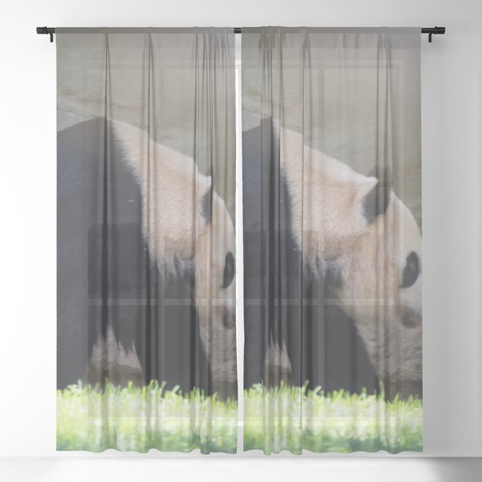 Panda  Sheer Curtain