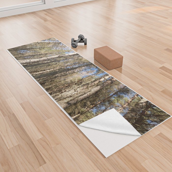 Scottish Pine Forest in the Spring Sunlight Yoga Towel