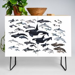 Dolphin diversity Credenza