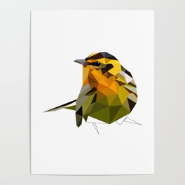 Blackburnian warbler Bird artwork Yellow and black Nature art Geometric Canada United States Poster