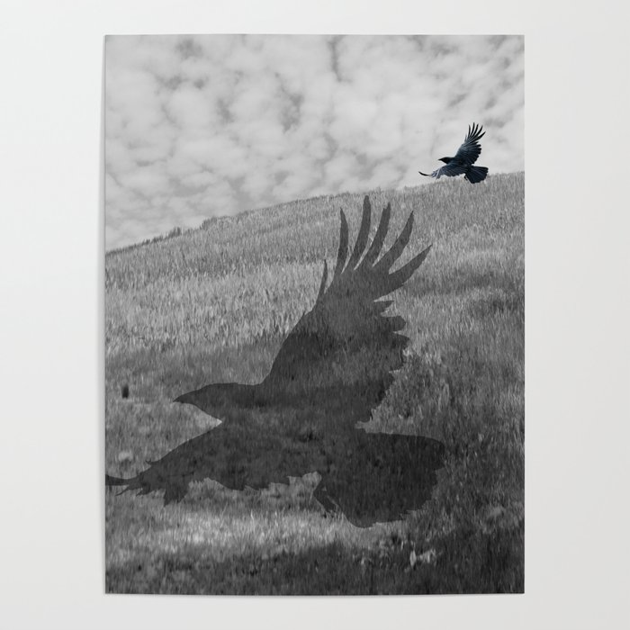 Black And White Crow Bird Raven Flying Flight Contemporary Art A556 Poster By Nicolphotographicart Society6 See more ideas about crow, black bird, crows ravens. black and white crow bird raven flying flight contemporary art a556 poster by nicolphotographicart
