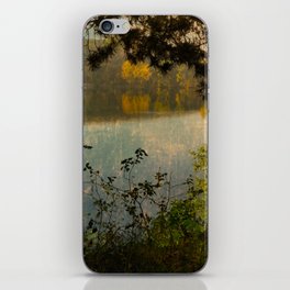 Vintage autumn lake iPhone Skin