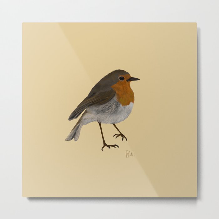 L'oiseau - the bird Metal Print