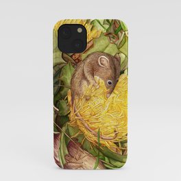 Honey Possum in Dryandra iPhone Case