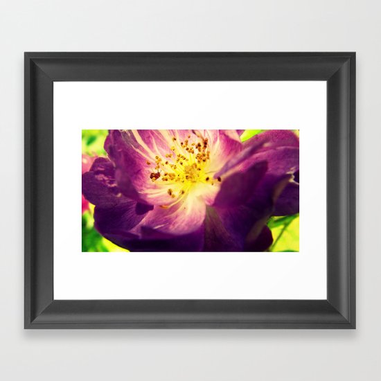 Little Bit Country Framed Art Print