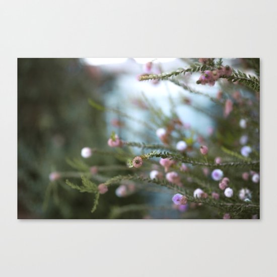 softly open our mouths Canvas Print