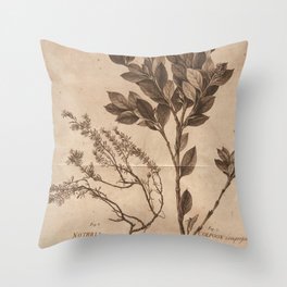 Neutral Vintage Botanical Print Throw Pillow