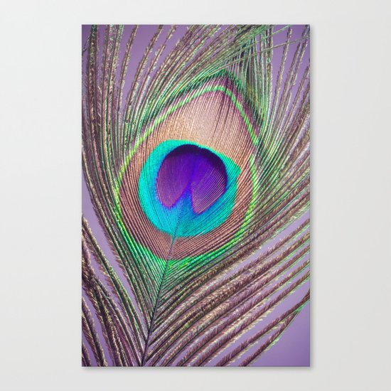 Pretty Plume Canvas Print