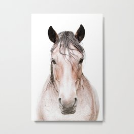 Horses Metal Print | Nature, Gift, Pet, Riding, Equestrain, Equine, Photo, Animal, Petportrait, Horsegift 