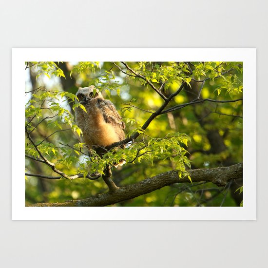 A peek between the leaves Art Print