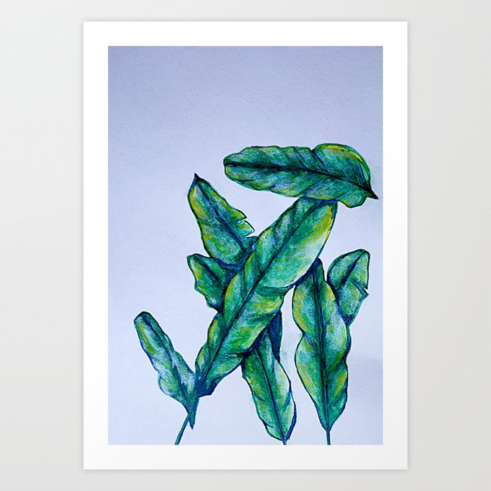 Banana leaf Art Print