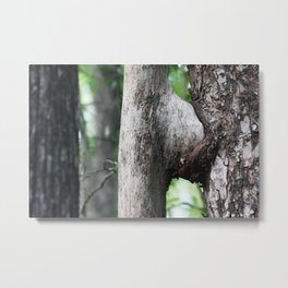 Tree sex  Metal Print