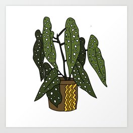 Begonia Maculata Art Print