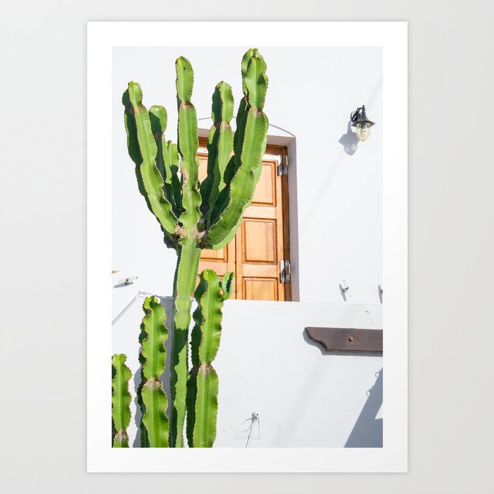 Cactus Garden / Milos, Greece townhouse doorway photography / m.henina photos Art Print