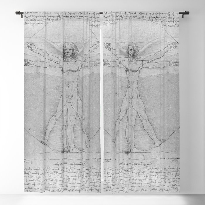 Leonardo Da Vinci Vitruvian Man With Wings Study Of Angels